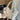 7ec7b414-3a56-40c5-bd8c-a782653e0d6c-Max-Origin