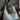 7fbfaee8-e003-49d9-8d34-9b2e44e1b0a8-Max-Origin