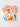 804875fc-f316-446e-980b-a874627b5cbb-Max-Origin