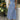 80d1f2f3-b0c8-40bf-b00c-d78358400a6a-Max-Origin