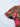 80d85e92-19e1-410b-8b81-32226eccbd6c-Max-Origin