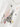 80d9a39d-c564-492f-a325-4dbe2dc6195c-Max-Origin