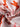 8107f095e4824c45b5fc86a1f32dfdce-Max