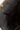 813dc4c447074adb90a17539c3ae1641-Max-Origin