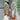 82483a04bc5740d9af60dbfa571fe852-Max
