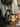 848d8b49-d181-468a-9275-abad4d43ea5b-Max-Origin