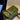 84e1d25d-0a14-423d-b04e-ee16fe1c540e-Max-Origin