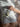 854933f2-b562-44a7-be06-a4c568746304-Max-Origin