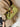 859d8a02-ac5f-405e-8494-cb916d17ca90-Max-Origin