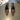85c0f650-977d-414f-9c66-4837fc830a7f-Max-Origin
