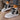 8685802a83484b15a9e4135f58381b1c-Max-Origin