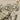 86932b55-db9f-4b5e-8b38-fbd40f016699-Max-Origin