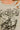 86932b55-db9f-4b5e-8b38-fbd40f016699-Max-Origin