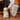 8807aa85699d412794ceae1020df5499-Max-Origin