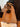 8831125a-09b3-4be3-9405-117d606bda7e-Max-Origin
