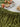 88cc6fd946a746049b3d491d9b0f4ee3-Max