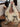 8b1e7245-1719-41e9-8275-453d6bca67c4-Max-Origin