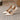 8b551875-6d3c-4463-9fbc-c8a74131d49e-Max