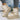 8b825b073674413dab34d7830c747ceb-Max-Origin