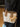 8d302521-9c56-4020-b350-90ce948c3674-Max