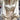8e353e5626f345b1a97dcc57d28c8ca4-Max-Origin