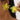 8e45fa75-e316-41c0-b4b8-7369f51c0157-Max-Origin