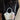 92180b64-5932-4799-bb89-9f4ce4ac4701-Max-Origin