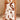 9239dbd8-6a04-4fdd-824a-f0cc2d811a6c-Max-Origin