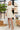 927dd47e4cd441c688fe3063e3f7a8fc-Max-Origin