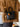 9305a17d-f67a-41cc-9148-dd6d4e605bec-Max-Origin