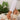 93dc2b603d5d4054980a9d57161a07d1-Max-Origin
