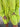 9489613a-2e04-4642-b223-0d7c430193f4-Max-Origin