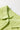 96af637a-8915-473c-96c8-4710eee4d236-Max