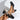 96c8a6fb-cc5e-40b0-8466-f82e7a63469b-Max-Origin