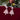 96d06263-01b7-472e-a785-8a9a9da25f6a-Max-Origin