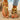 96d0a62e-559a-40dd-b52b-45b3c080d161-Max-Origin