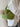 99b16198-9da7-41e3-89b6-509d05377cf7-Max-Origin