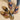 99c22a12-30c5-4abf-adff-5bbdeccc2fc1-Max-Origin