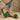 9a29886d-a85b-40c4-928f-7bd6a6ff39ca-Max-Origin