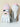 9aacd541e529437eaae1206476f35843-Max-Origin