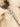 9b6d01b11fdb4e9588fa2f8c323cc417-Max-Origin