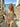 9bdc60625e1b49228844517a8abb5d72-Max-Origin