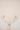 9c5458d4-13c6-4992-b279-f2196072ec81-Max-Origin