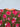 9cd70683-a666-46ec-ae12-fcef67cbffb6-Max-Origin