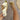 9f028444eaa14ec4b1d283b83ba9d43c-Max-Origin