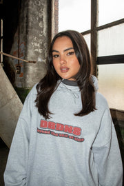 Hoodie in Ash Grey With DBNDNS Logo Print-1