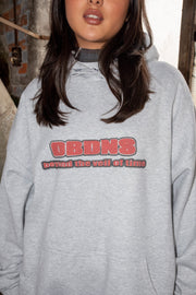 Hoodie in Ash Grey With DBNDNS Logo Print-3