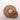 Wooden Natural Cameroon Shield | Cowrie Shells Floral Design-2