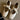 a0b89901-7df4-43b4-b541-c8284c61d8f8-Max
