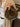 a0d76349-8eb7-4077-ab85-f7fa15a34a64-Max-Origin